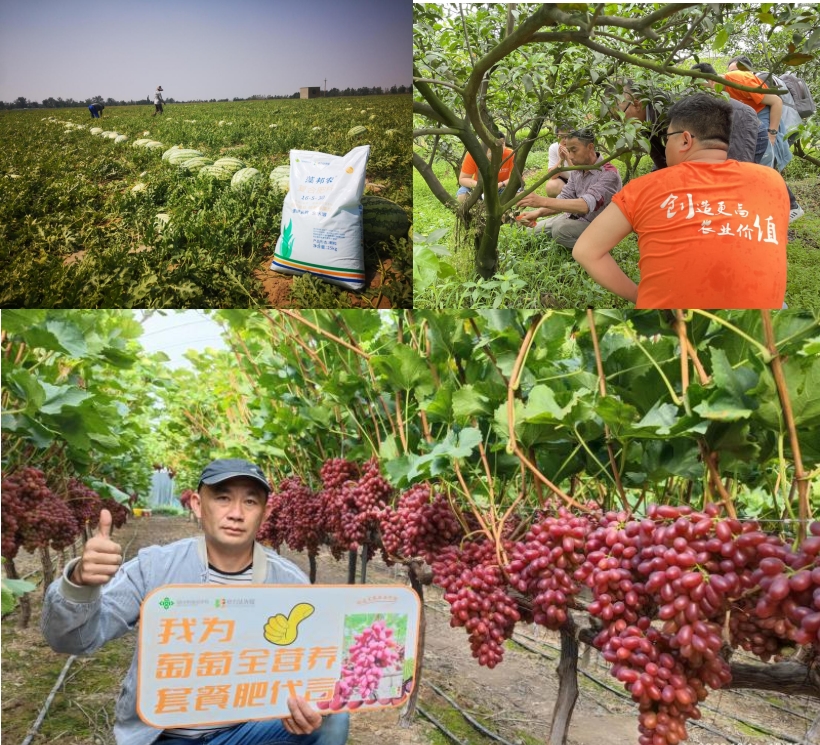 1698660282806066886.png 1698660282806066886.png