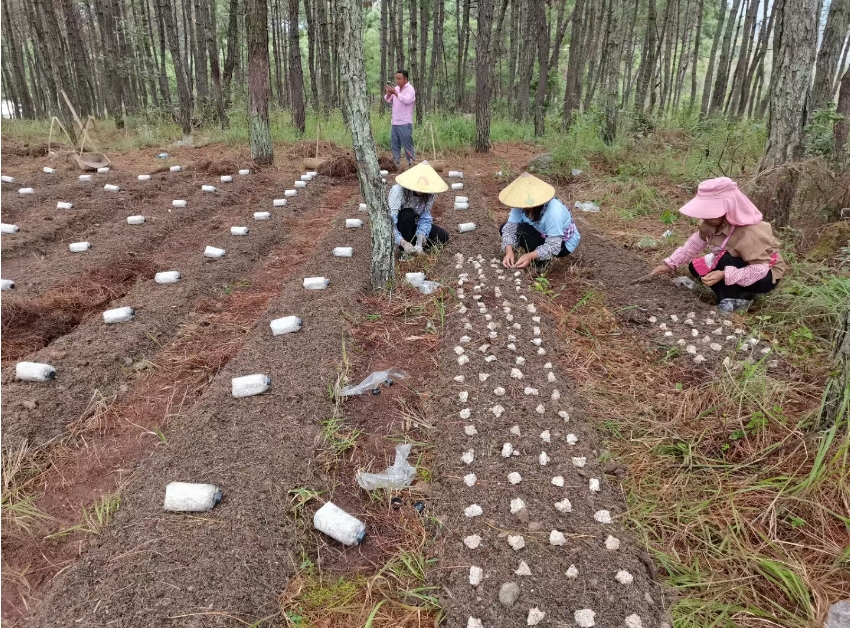 1698827926658065532.png 微信截图_20231101163838.png