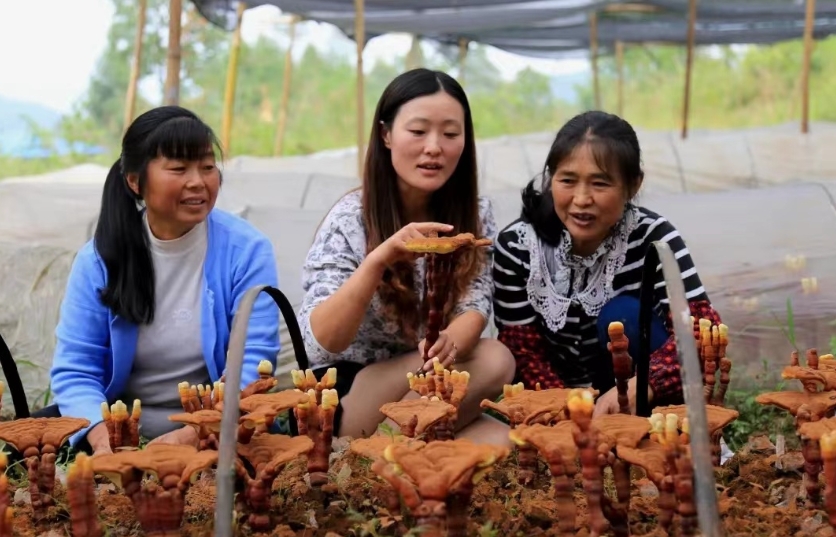 1698827945643065418.png 微信截图_20231101163823.png