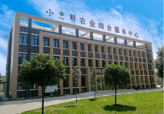 1699522153082066967.png 1699522153082066967.png