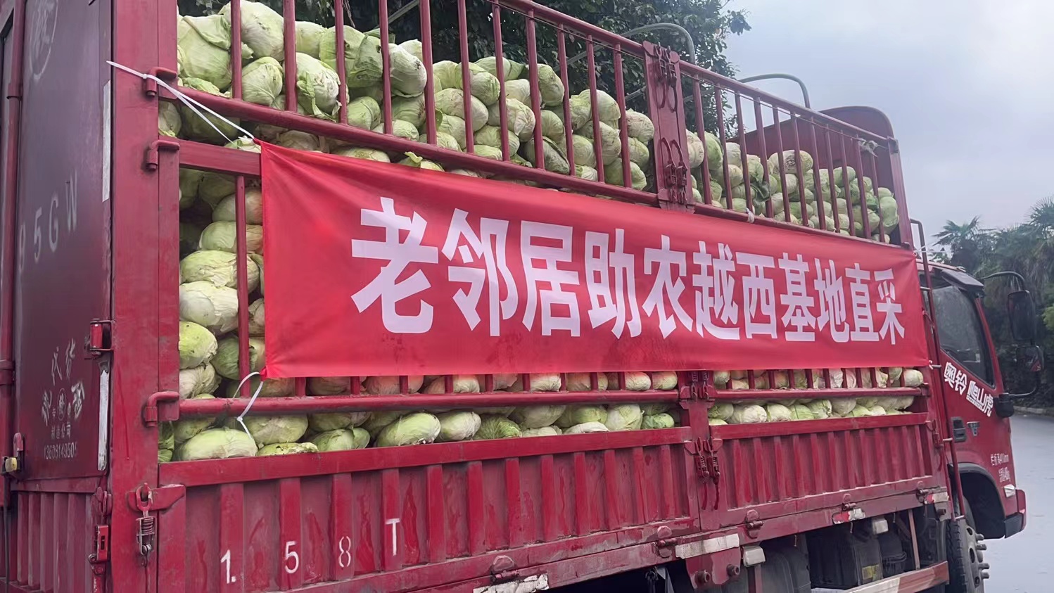 1699886385617095923.jpg 1699886385617095923.jpg