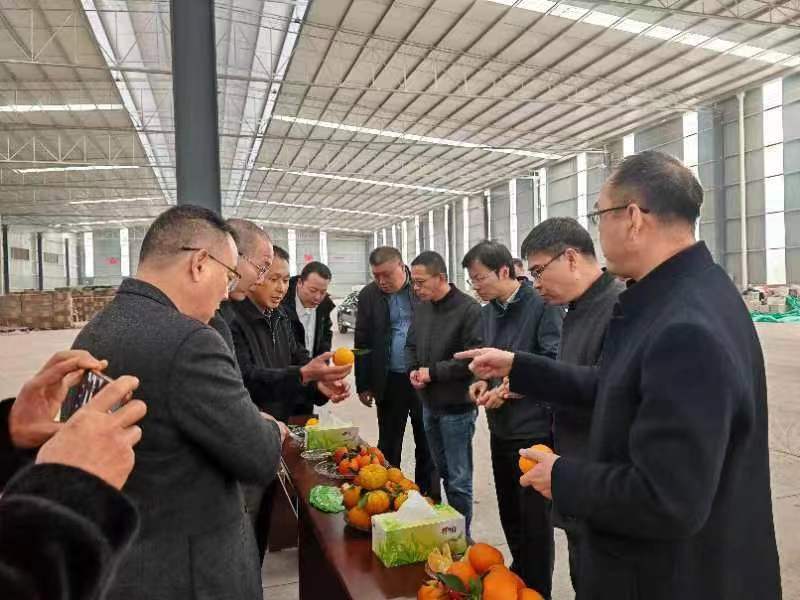 1701681844341003019.jpg 1701681844341003019.jpg