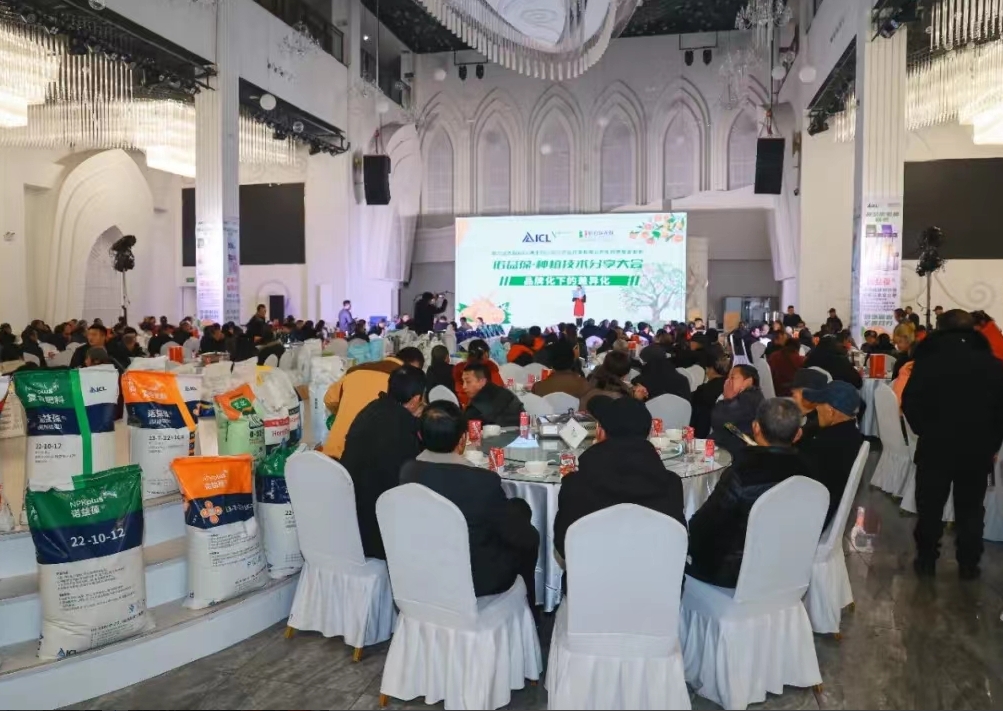 1704878307146058303.png 1704878307146058303.png