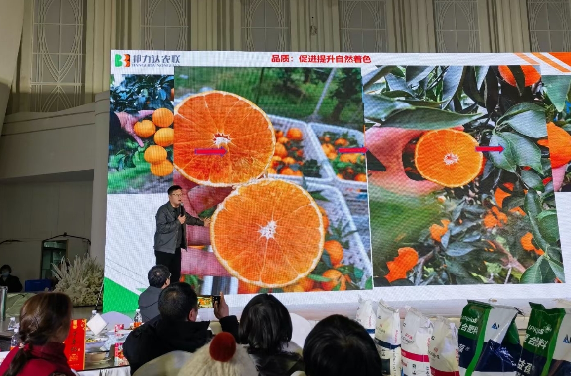 1704878307158090212.png 1704878307158090212.png