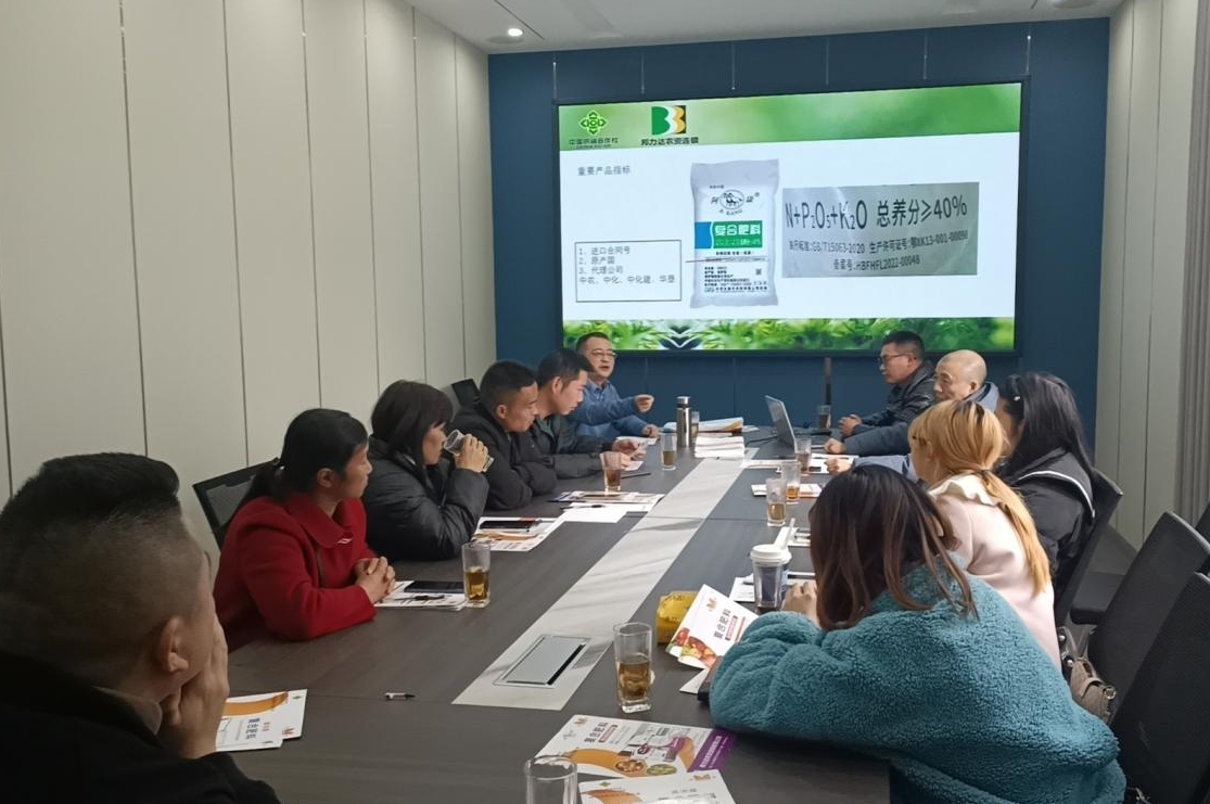 1705563573697042918.png 1705563573697042918.png