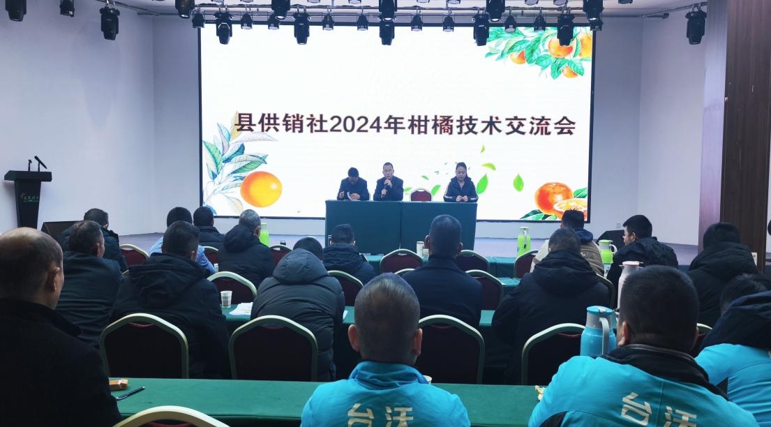 1706762962887062011.png 1706762962887062011.png