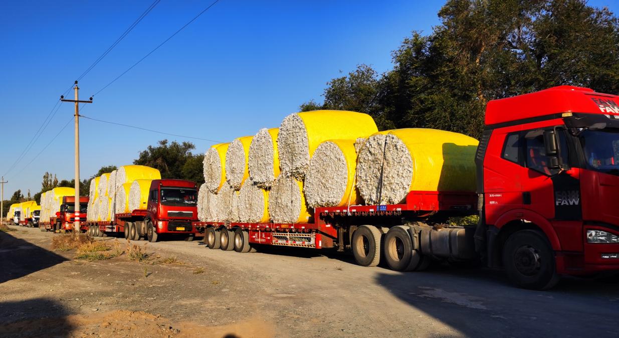 1707112492408070466.jpg 四川省棉麻集团有限公司5.jpg