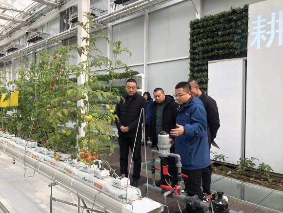 1708653903458003544.png 1708653903458003544.png