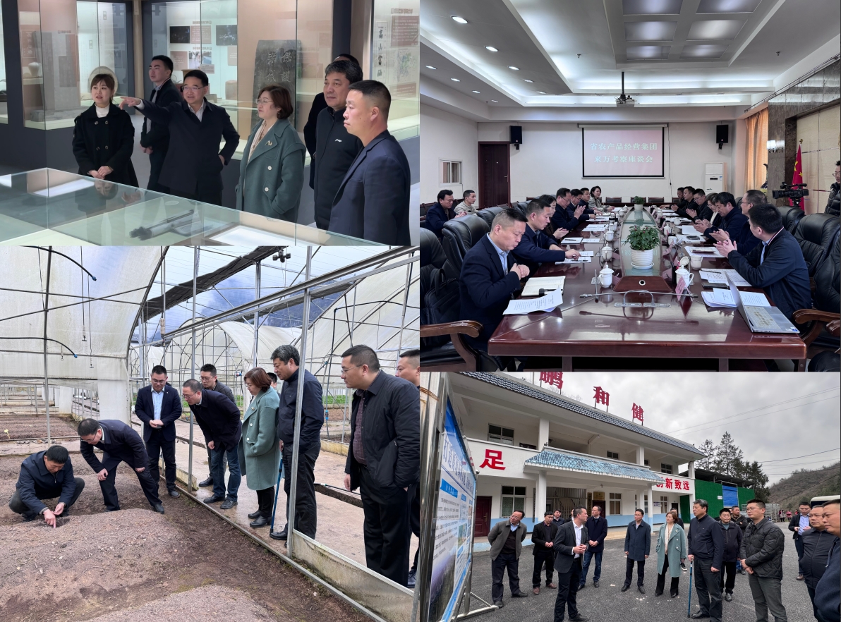 1710756244685024193.png 1710756244685024193.png