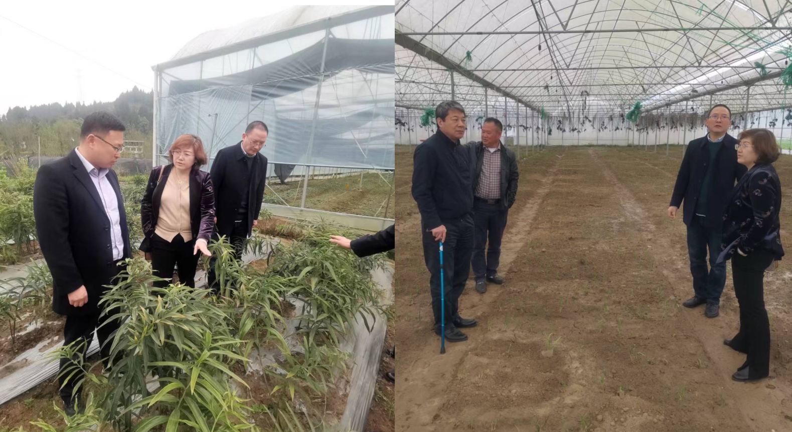 1710756253955033153.png 1710756253955033153.png