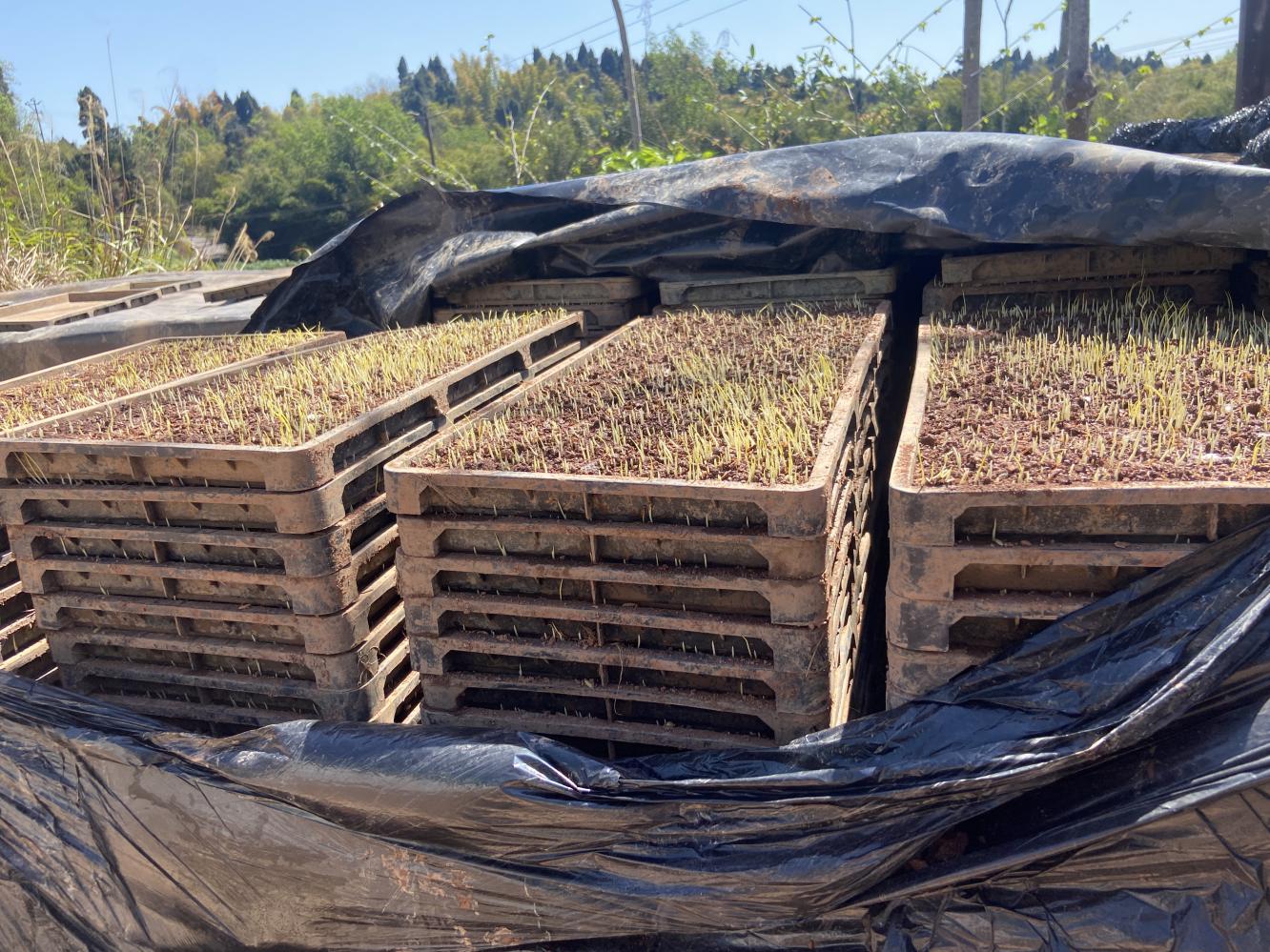 1712905809273015020.jpg 1712905809273015020.jpg