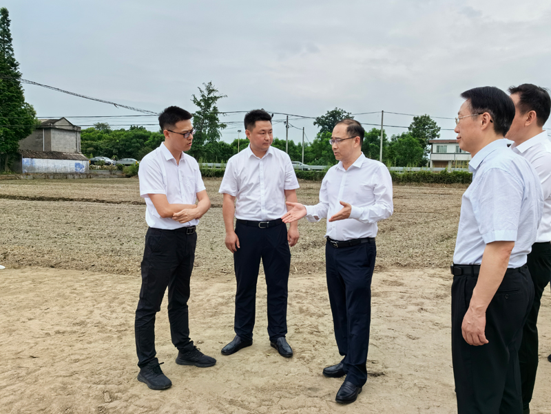 胡云赴眉山调研耕地保护利用和高标准农田建设工作「相关图片」