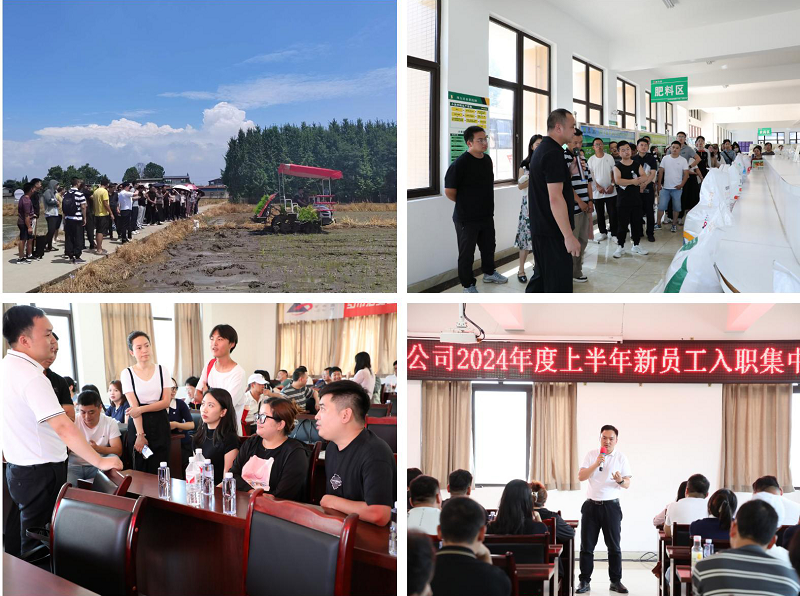 1719215594030062308.png 图片4.png