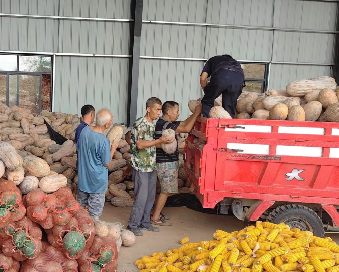 1727335897252042852.png 1727335897252042852.png