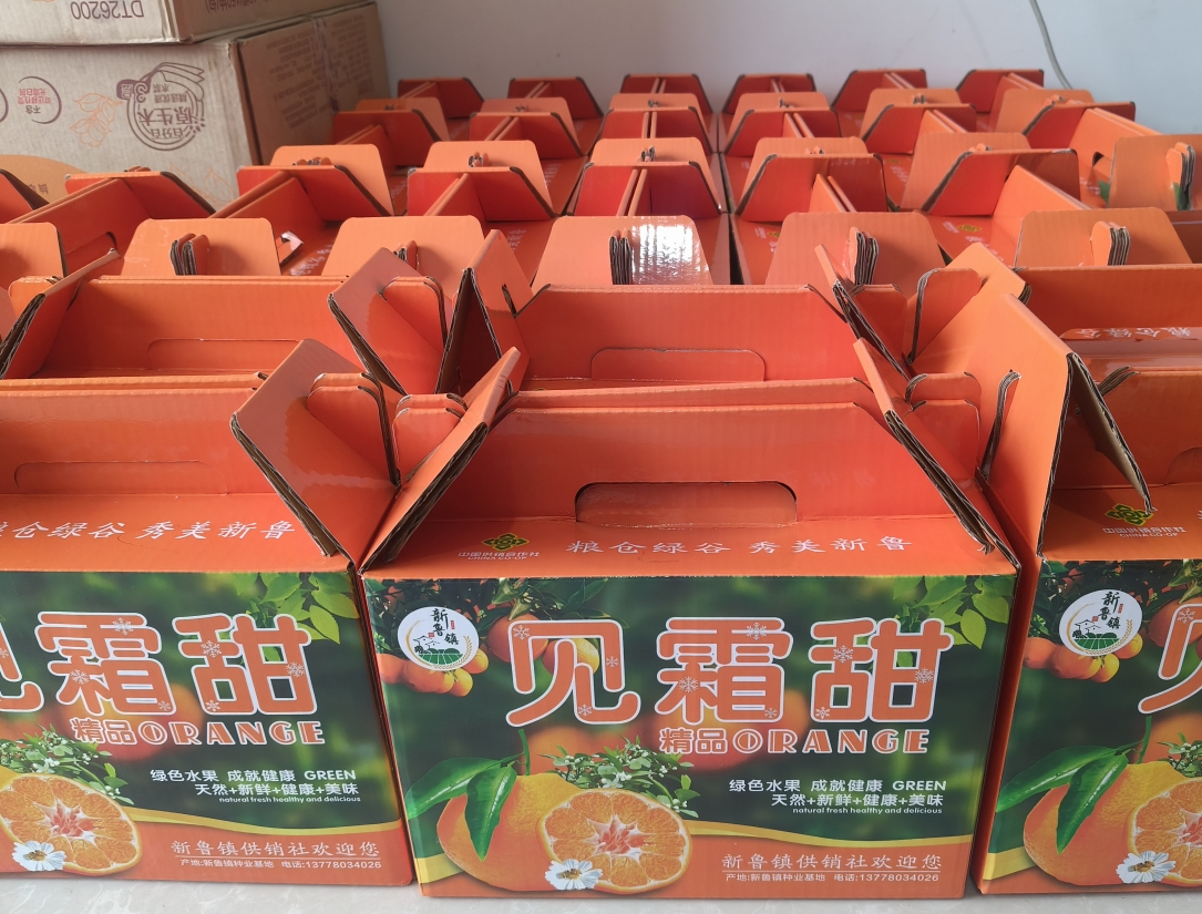 1727335897680010807.png 1727335897680010807.png