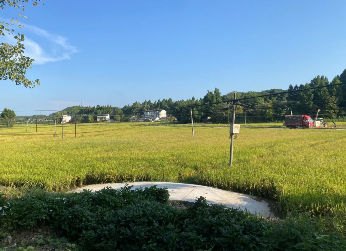 1727335898583025897.png 1727335898583025897.png