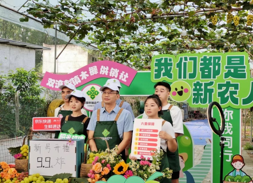 1727425735672032106.png 1727425735672032106.png