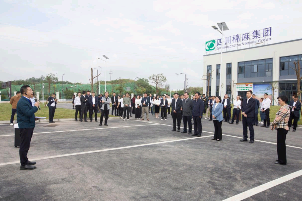 1729305705158049069.jpeg 1729305705158049069.jpeg