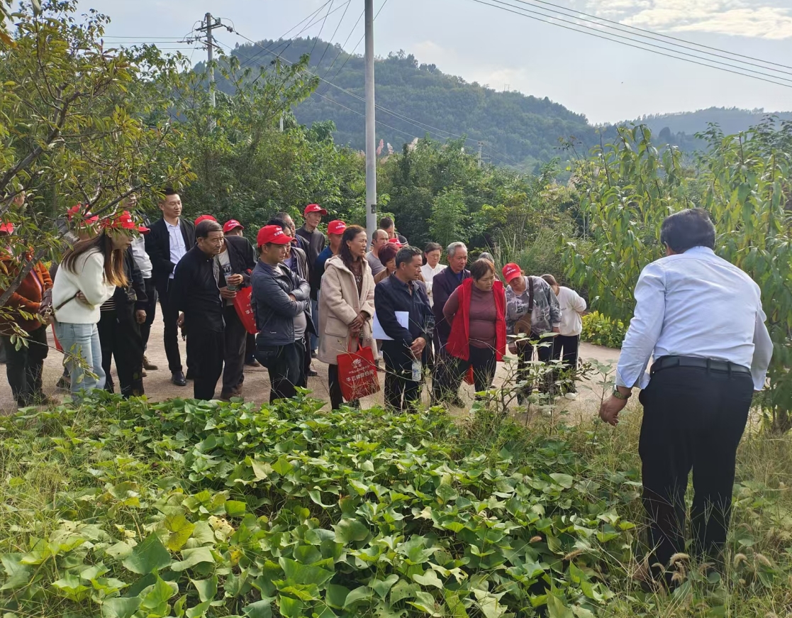 1730097667342064023.png 1730097667342064023.png