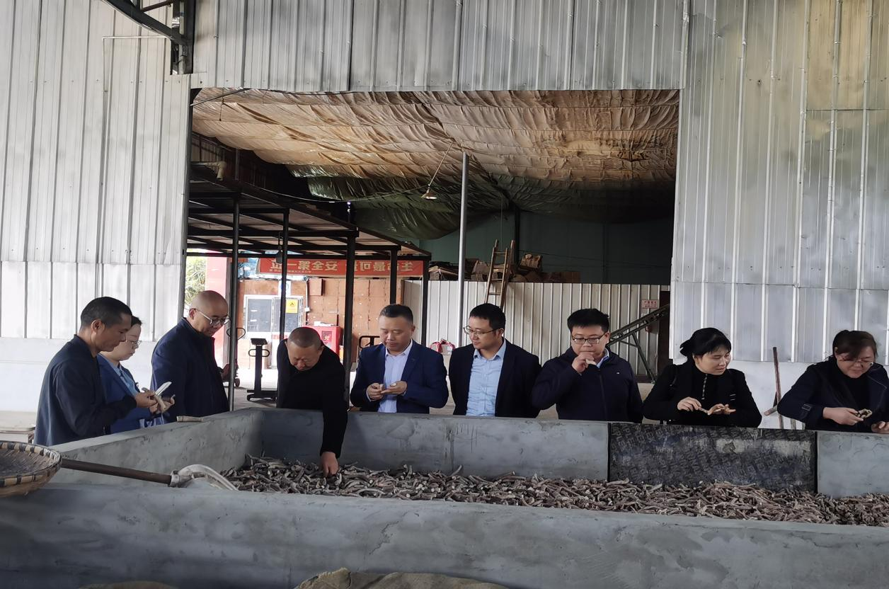 1730356551591023582.png 1730356551591023582.png