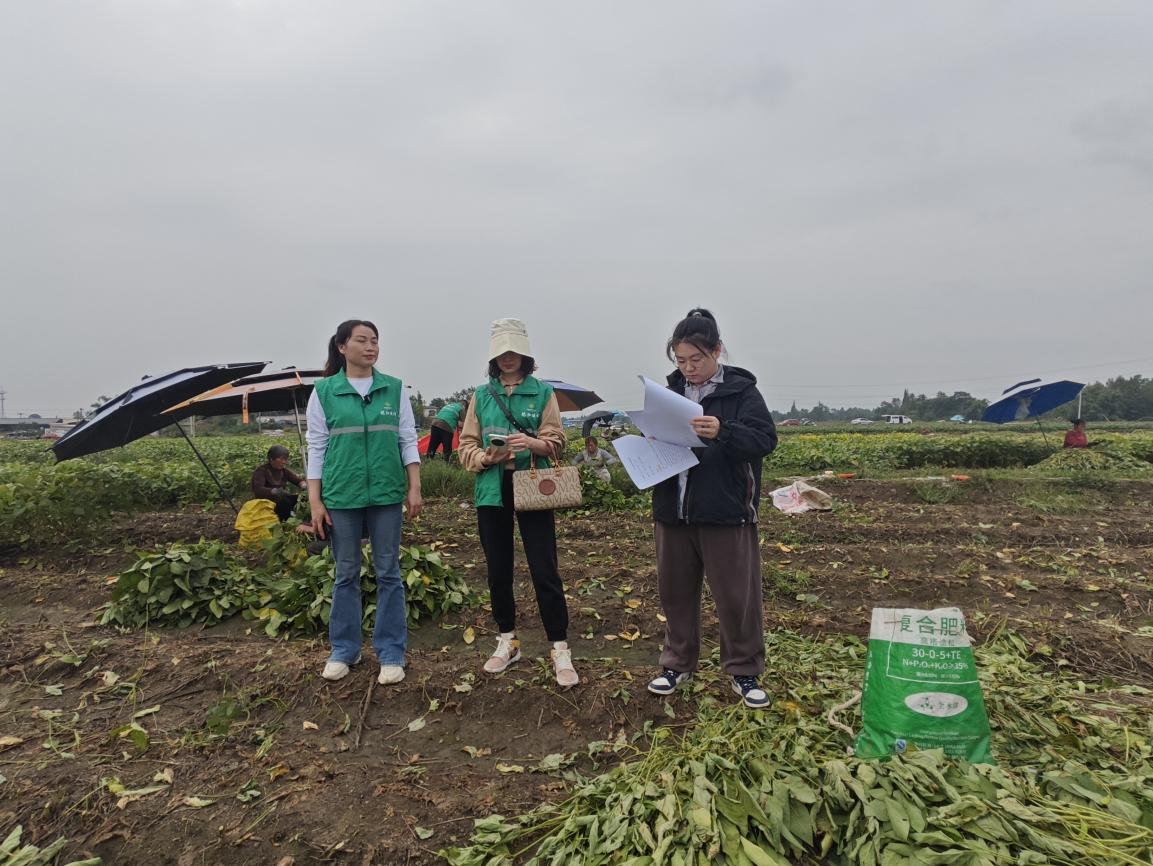 1730444320907039125.png 1730444320907039125.png