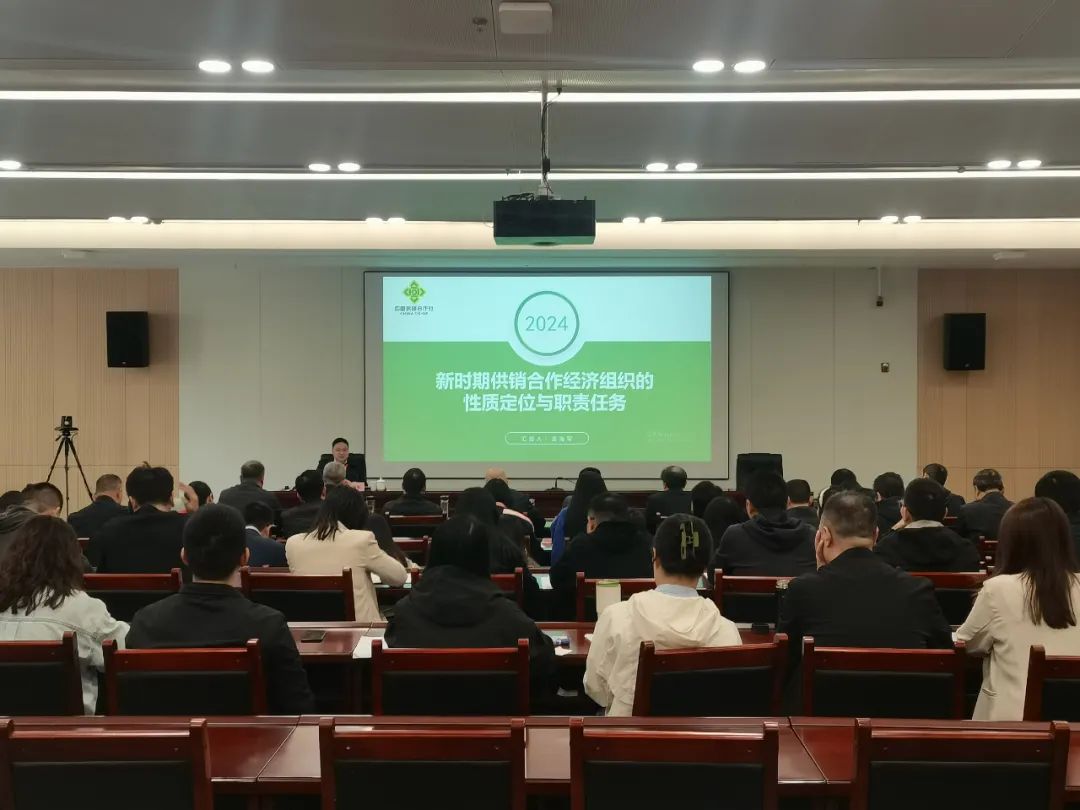 1730787708112066586.jpg 1730787708112066586.jpg