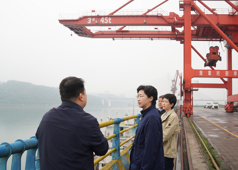 施小琳在泸州调研并督导中央生态环保督察通报案例整改工作「相关图片」