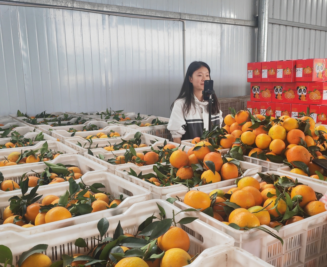 1731050309055003454.png 1731050309055003454.png