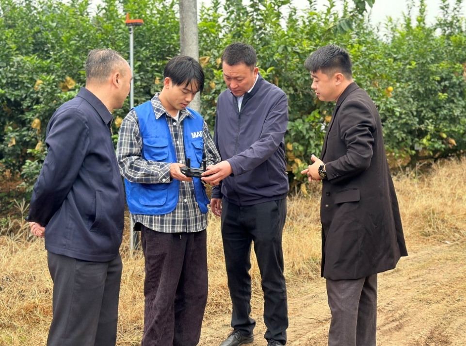 1731306102587042657.png 1731306102587042657.png