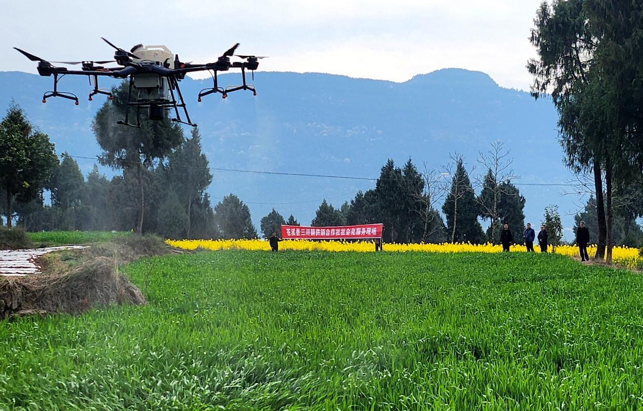 1731393399126040049.png 1731393399126040049.png