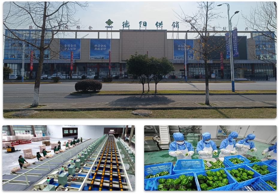 1732606866992009747.png 1732606866992009747.png