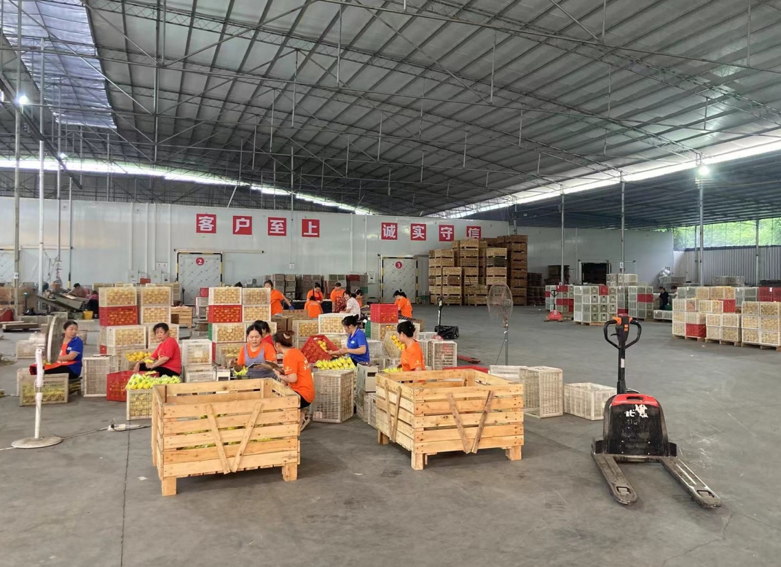 1732698684697047499.png 1732698684697047499.png