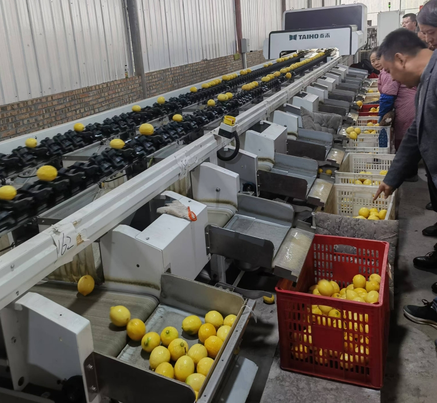 1732698684734060743.png 1732698684734060743.png