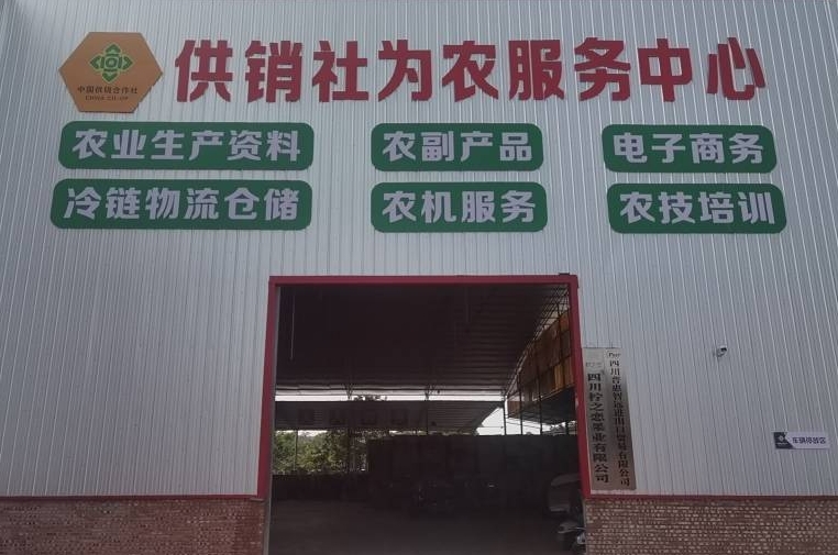 1732698686040010975.png 1732698686040010975.png