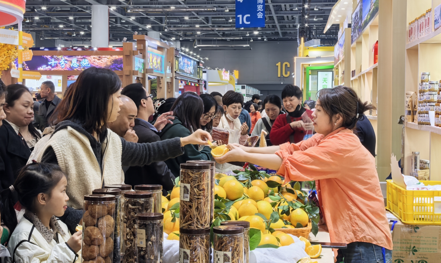 1732940570263069014.png 1732940570263069014.png