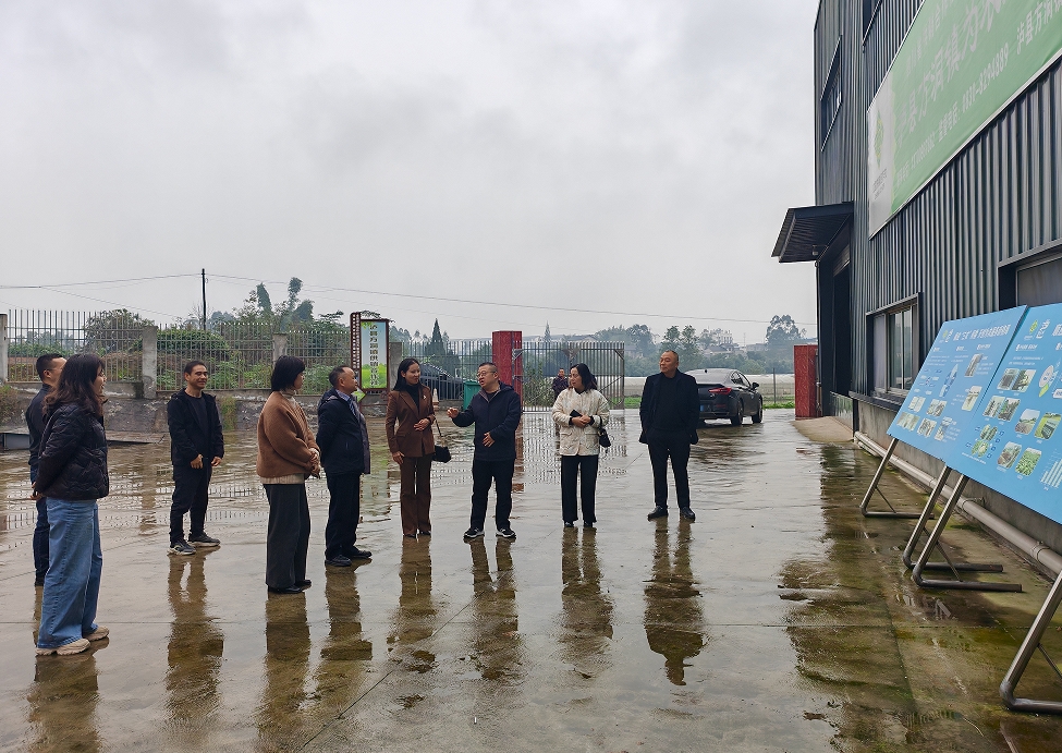 1733394476157064200.png 1733394476157064200.png