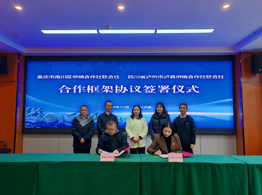 1733394477713072551.png 1733394477713072551.png