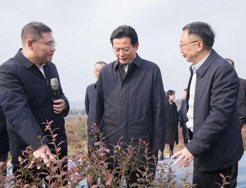 1734620144905016250.jpeg 1734620144905016250.jpeg