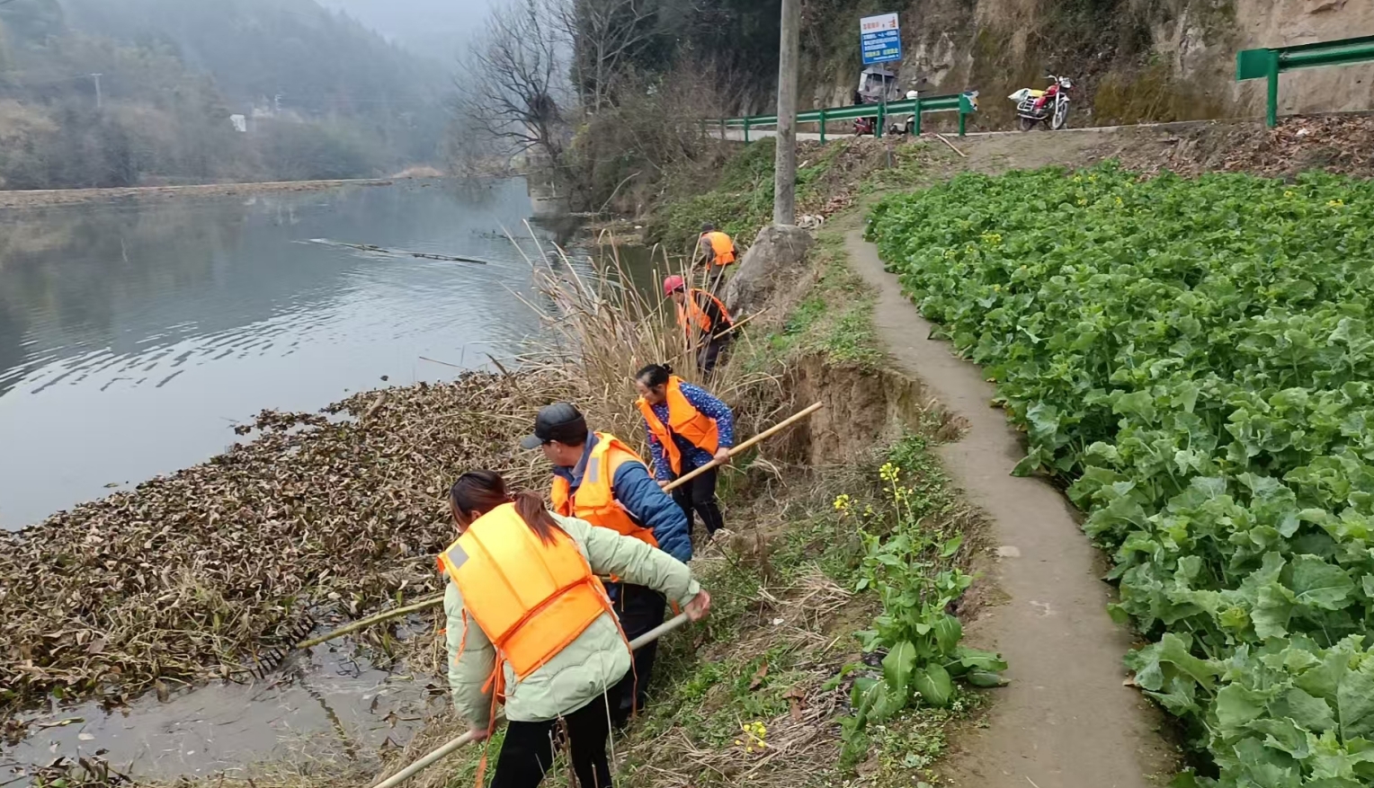 1740464379570028249.png 1740464379570028249.png