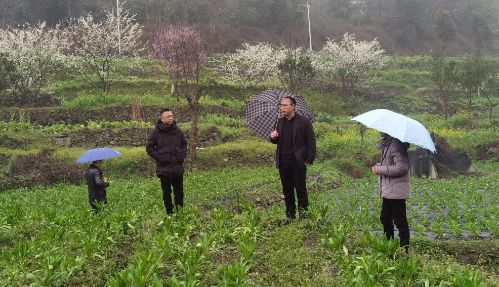 1741860615215065719.png 1741860615215065719.png