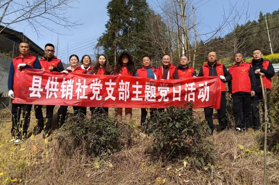 1742379296663077945.png 1742379296663077945.png