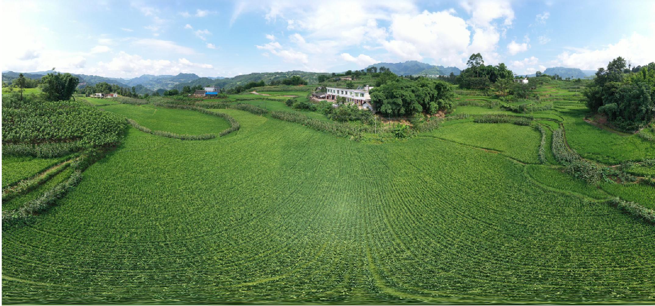 1744874871385018451.jpg 1744874871385018451.jpg