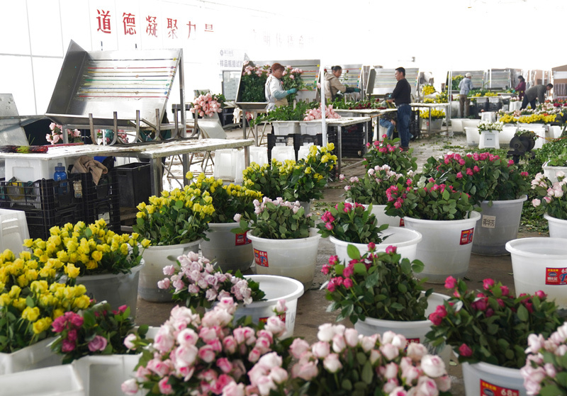 新的伟大奋斗创造新的历史伟业
——以习近平同志为核心的党中央引领“十四五”经济社会发展纪实「相关图片」