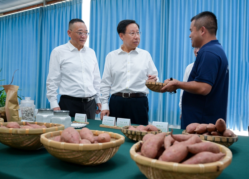 王晓晖在遂宁市广安市调研时强调 
锚定目标更加奋发进取真抓实干 
扎实推动高质量发展创造高品质生活「相关图片」