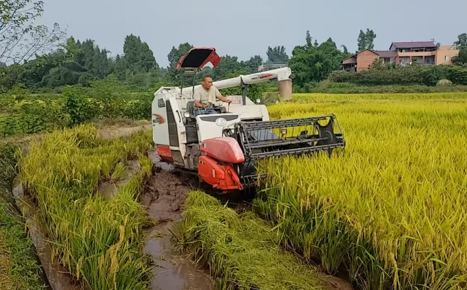 1756371719559041528.png wechat_2025-08-28_170051_013.png