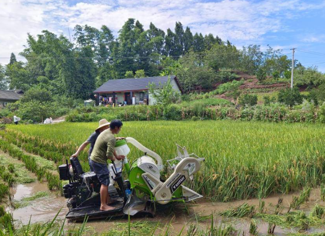 1756371813234056926.png wechat_2025-08-28_170044_383.png