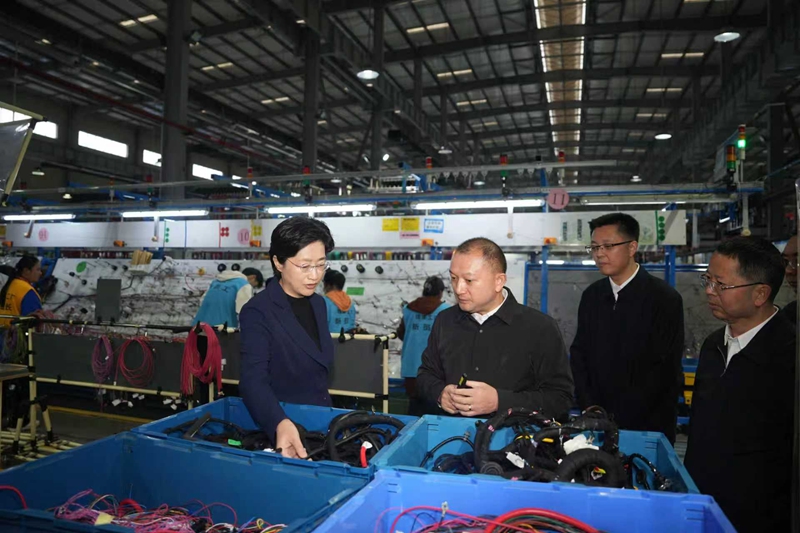 施小琳在广安调研时强调 
深入学习贯彻党的二十届四中全会精神 
以高质量发展实效确保“十四五”收好官“十五五”开好局「相关图片」