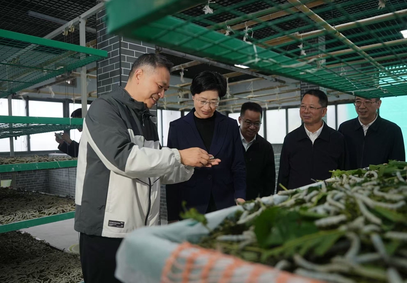 施小琳在广安调研时强调 
深入学习贯彻党的二十届四中全会精神 
以高质量发展实效确保“十四五”收好官“十五五”开好局「相关图片」