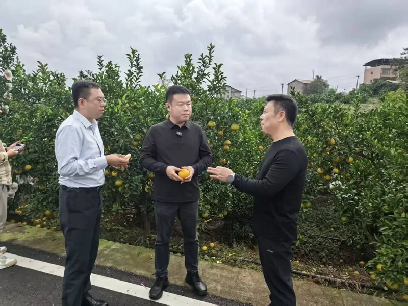 1763026490600050133.png 图片5.png