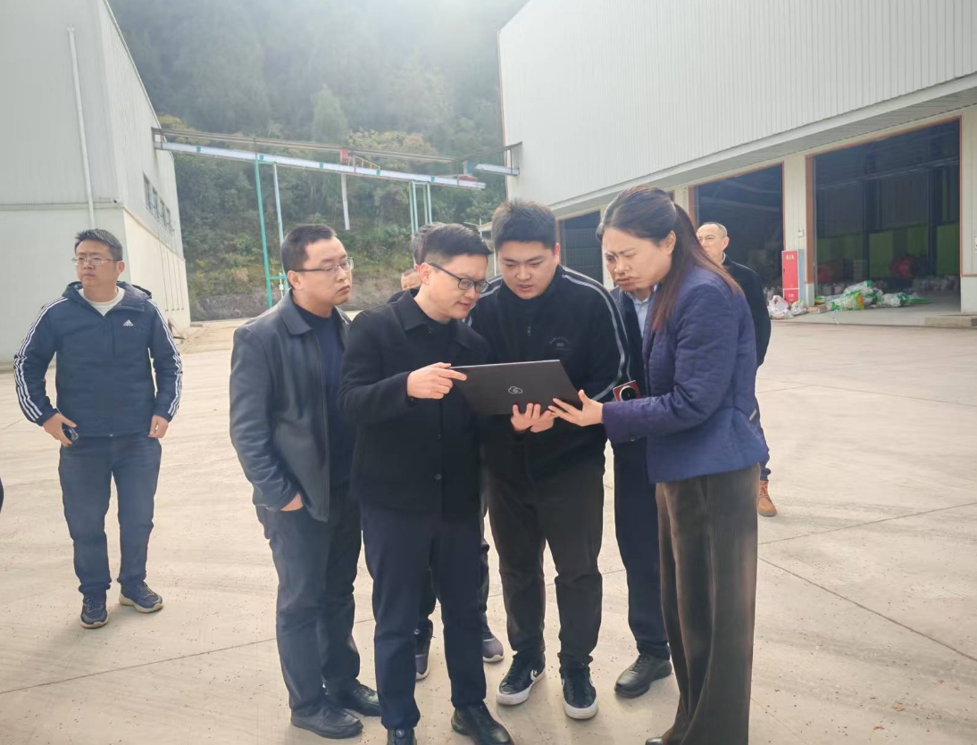 1764231584054046756.png 1764231584054046756.png